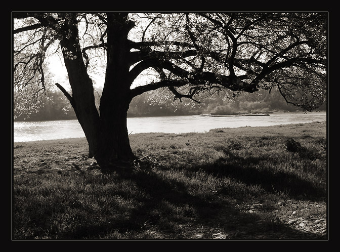 photo "In conrazhur" tags: landscape, black&white, 