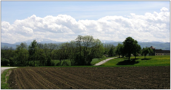 photo "Levels Of Spring" tags: landscape, mountains, spring
