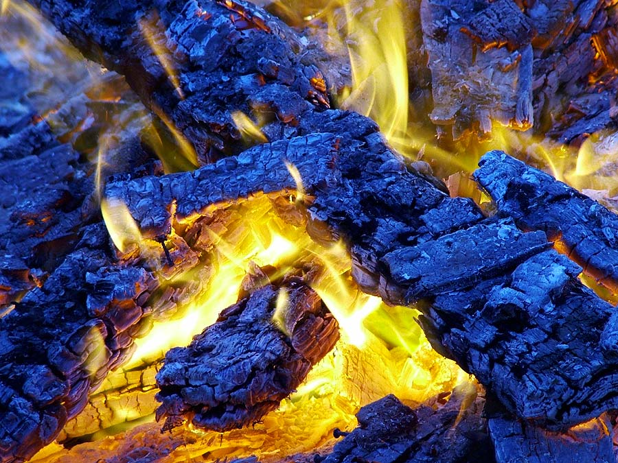 photo "Flame of Omer" tags: nature, misc., 