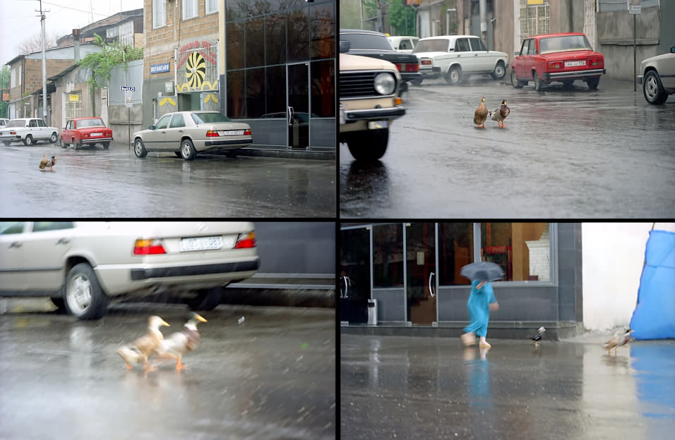 фото "Однажды, в центре города..." метки: юмор, жанр, 