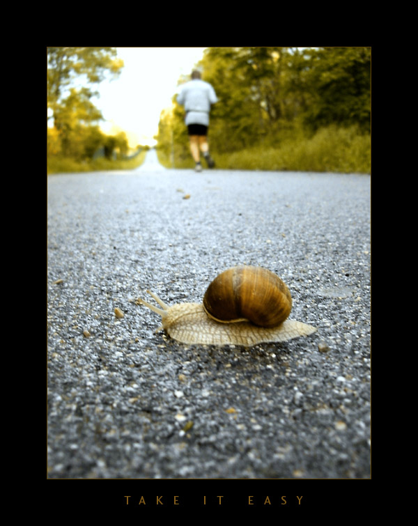 photo "Take it Easy" tags: still life, sport, 