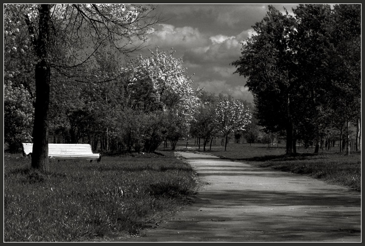 photo "The bench" tags: landscape, spring