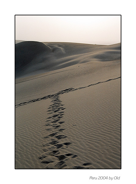 фото ""The Roads we Take"" метки: путешествия, пейзаж, Южная Америка