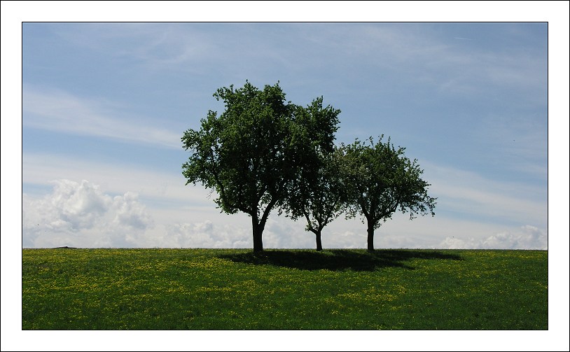 photo "Three Of Them" tags: landscape, mountains, spring