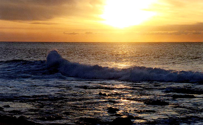 photo "The SeaBird" tags: landscape, sunset, water