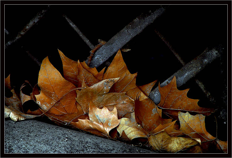 photo "The rests of Autumn" tags: landscape, autumn, spring