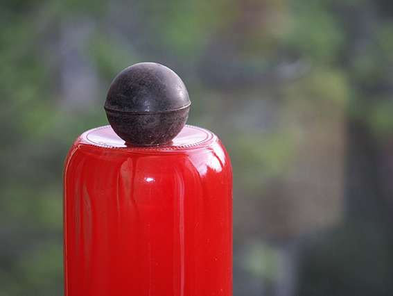 photo "Not for You" tags: portrait, macro and close-up, 