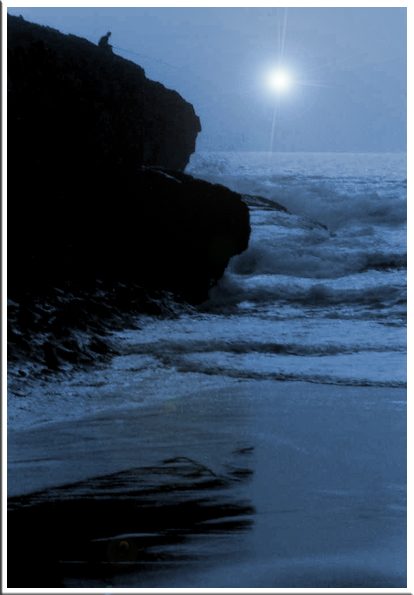 photo "Alone" tags: landscape, portrait, night