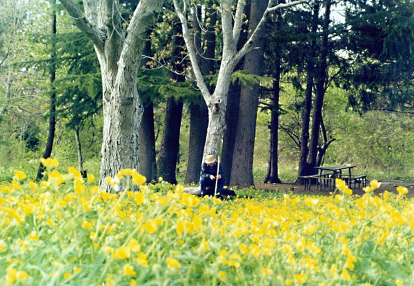 photo "loneliness" tags: portrait, landscape, spring