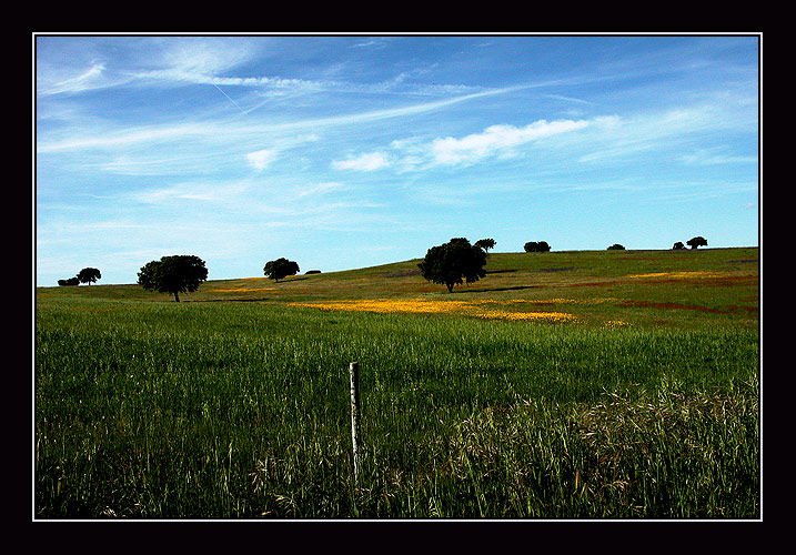 фото "rustic view" метки: разное, пейзаж, весна