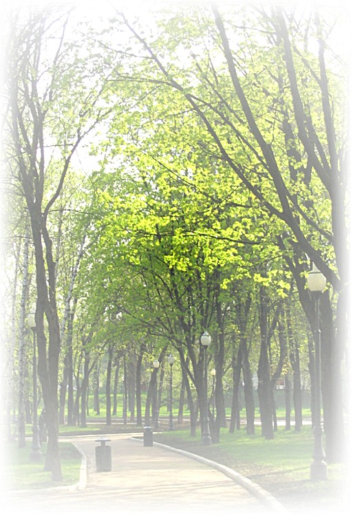 фото "Дорожка в парке" метки: пейзаж, весна