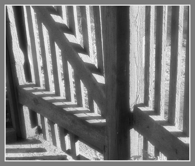 photo "code" tags: misc., 