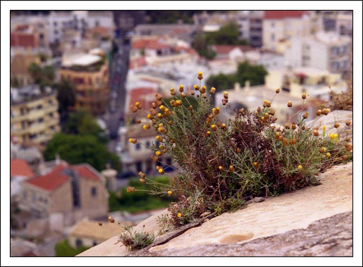 photo "Point of view" tags: travel, architecture, landscape, Europe