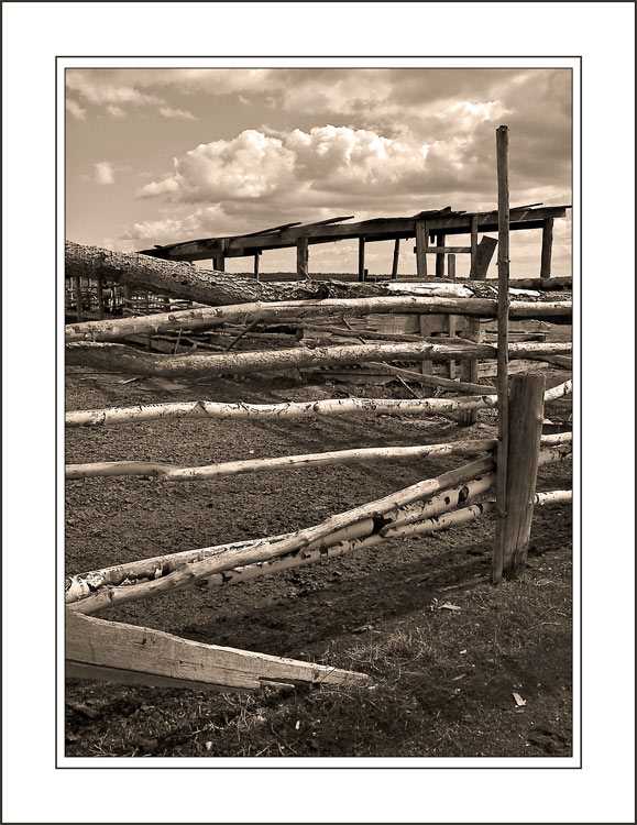 photo "T. Graphics # 3" tags: misc., black&white, 