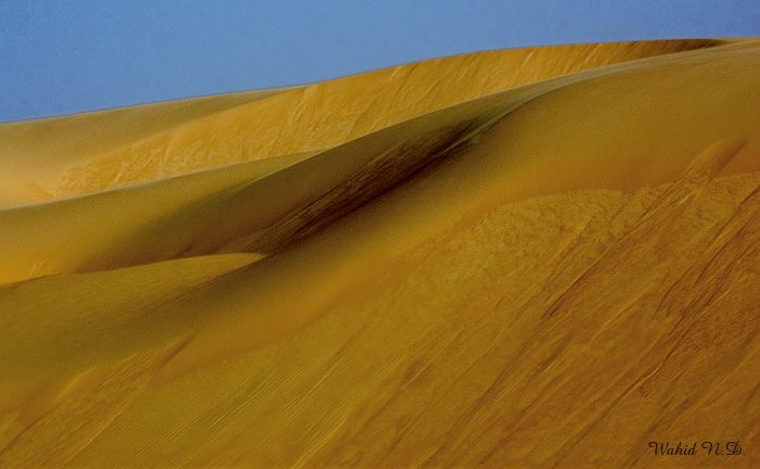 photo "Sand dunes# 3" tags: nature, travel, Africa