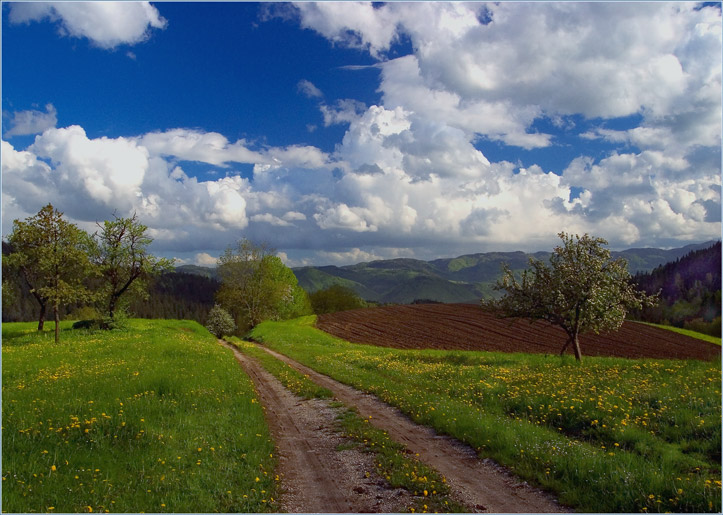 photo "Spring landscape" tags: landscape, montage, spring