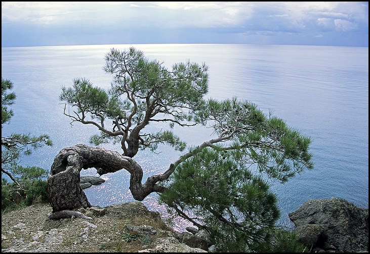 photo "At edge of the ground" tags: landscape, clouds, water