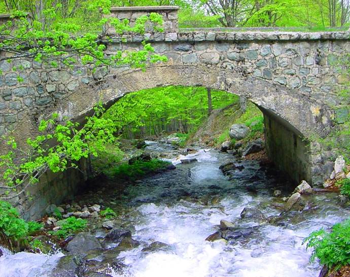 фото "Мост." метки: пейзаж, весна, вода