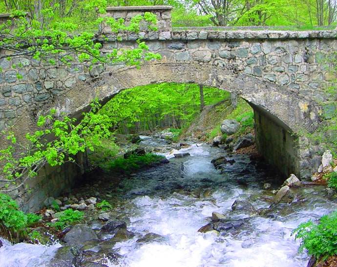 photo "The bridge." tags: landscape, spring, water