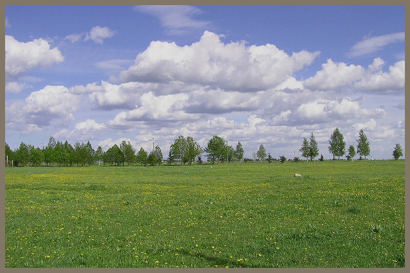 фото "голубое и зеленое" метки: природа, 
