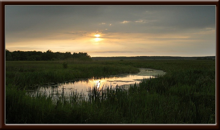 photo "rising. direct translation." tags: landscape, sunset, water