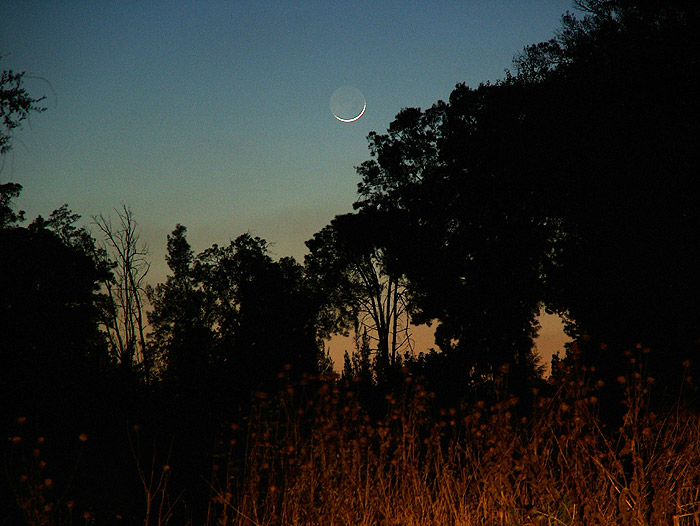 photo "The Magic Moon" tags: landscape, travel, night