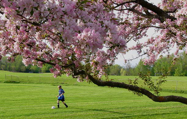 фото "Spring time" метки: пейзаж, 