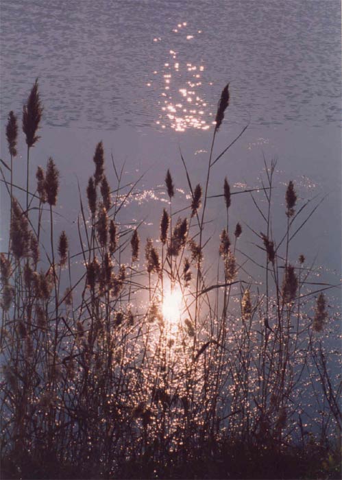 фото "Немного солнца в холодной воде" метки: природа, пейзаж, вода