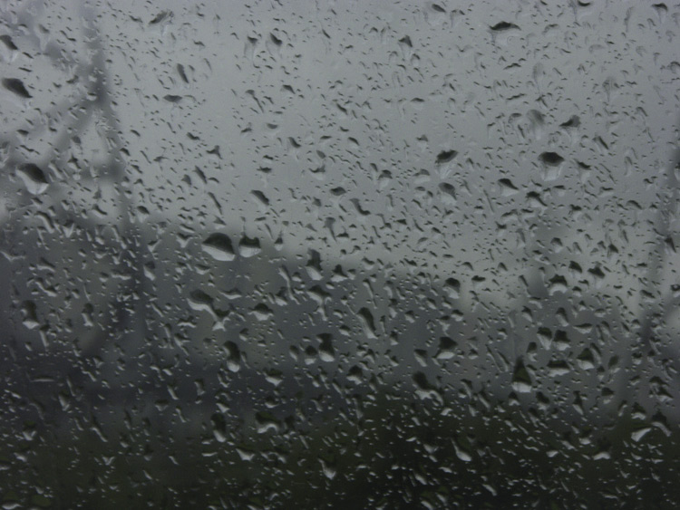 photo "rain in the city" tags: landscape, nature, 