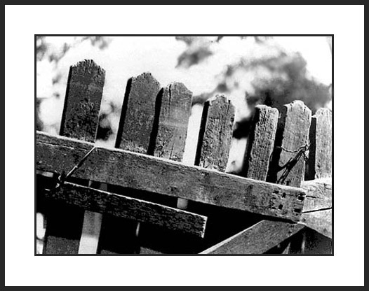 photo "Sampa 98" tags: black&white, 