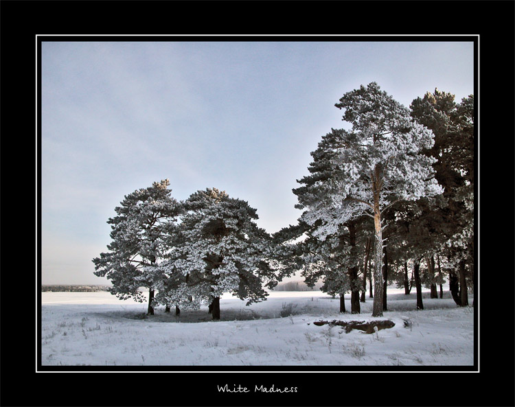 photo "White Madness" tags: misc., landscape, winter