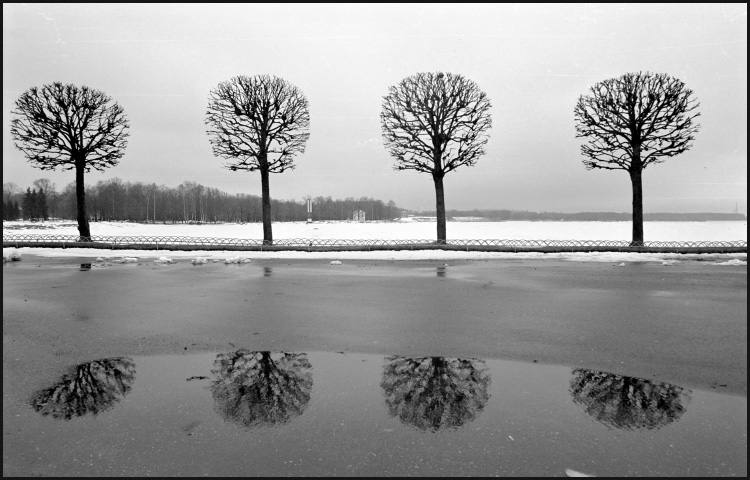 photo "Peterhof 2" tags: black&white, 