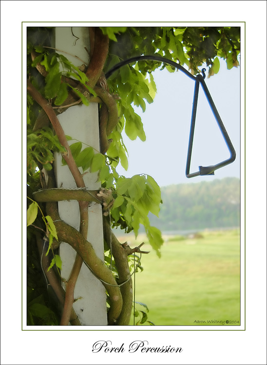 photo "Porch Percussion" tags: genre, landscape, summer