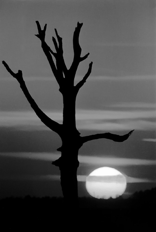 photo "Alpha Gorgo" tags: black&white, landscape, sunset