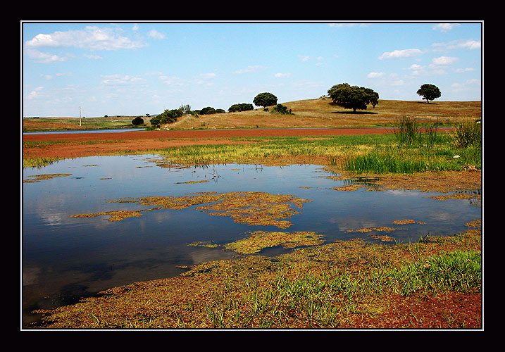 фото "a warm place" метки: разное, 