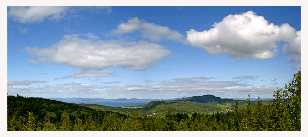 photo "Forest and ocean" tags: landscape, 