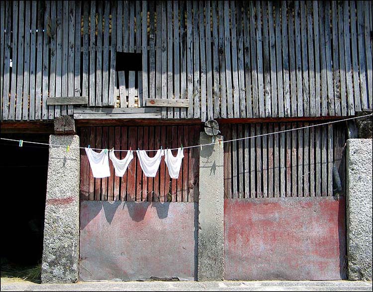 photo "The underwear" tags: reporting, abstract, 