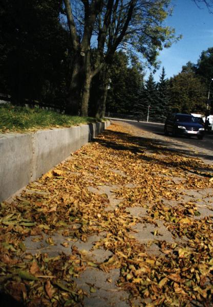 photo "Leaves" tags: landscape, autumn