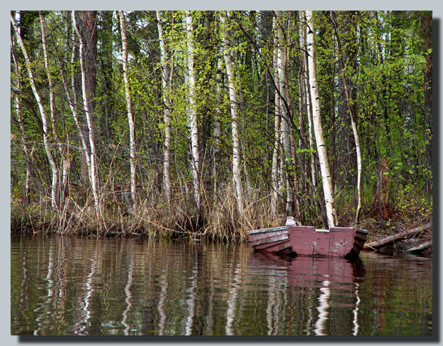 фото "Берег озера..." метки: пейзаж, вода, лес