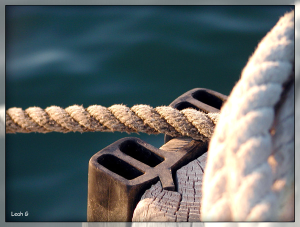 photo "Rope" tags: genre, montage, 