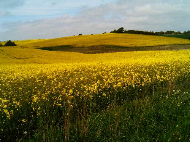 фото "Landscape." метки: природа, 