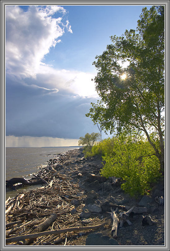 photo "Chaos on the shore, in the sky..." tags: landscape, summer