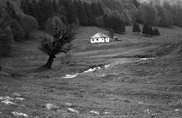 photo "Tree, water and peoples..." tags: black&white, 