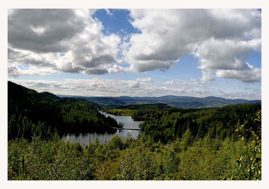 фото "Norwegian forest" метки: пейзаж, 