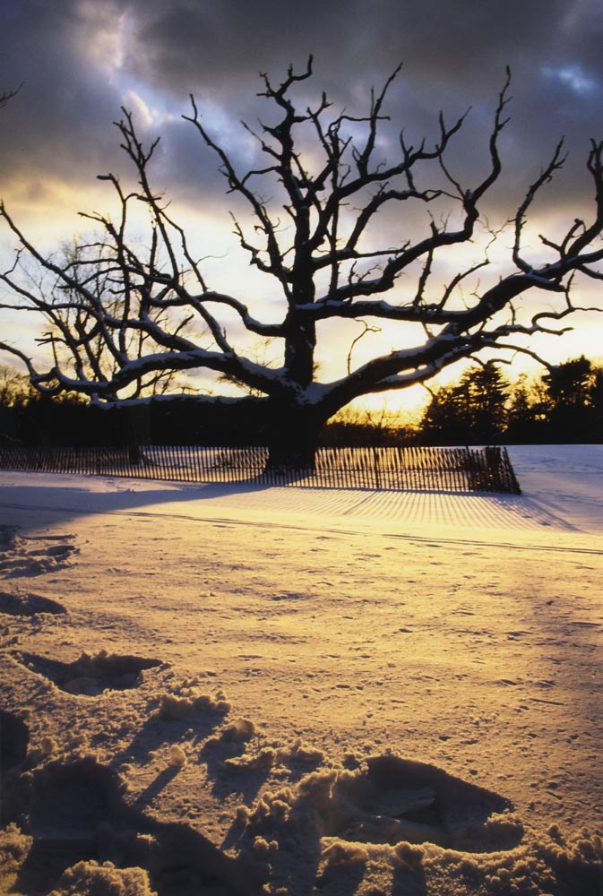 photo "Solitude" tags: landscape, winter