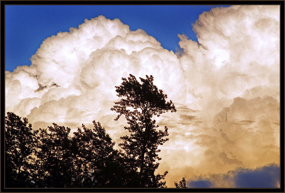 photo "The wind has own rules" tags: landscape, clouds