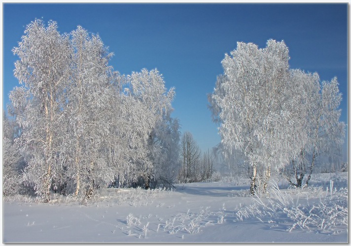 фото "Зимняя" метки: разное, 