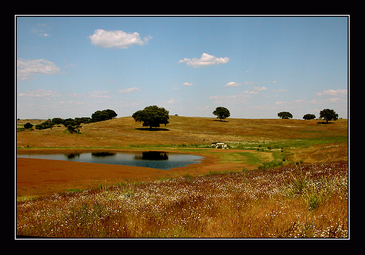 фото "all nature revives in spring" метки: разное, 