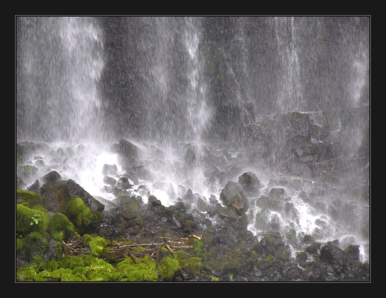 photo "white&green" tags: landscape, forest, water