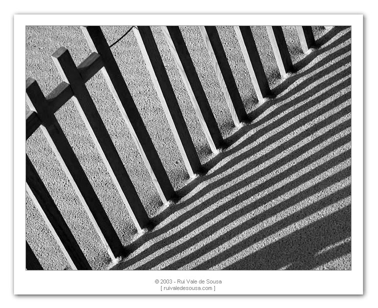 фото "fences" метки: разное, 